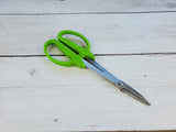 Pruning Shears