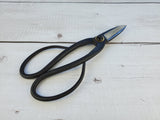 Pruning Shears