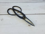 Pruning Shears