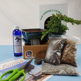 Juniper Gift Set