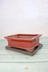 Humidity Tray