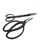 Pruning Shears