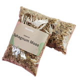 Sphagnum Moss