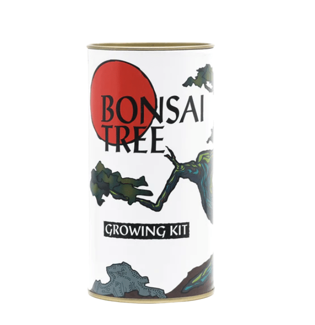 Misho Bonsai Growing Kit