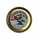 Misho Bonsai Growing Kit