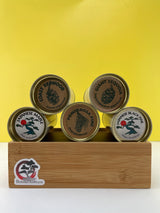 Misho Bonsai Growing Kit