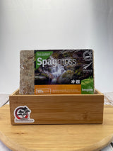 Sphagnum Moss