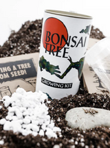 Misho Bonsai Growing Kit