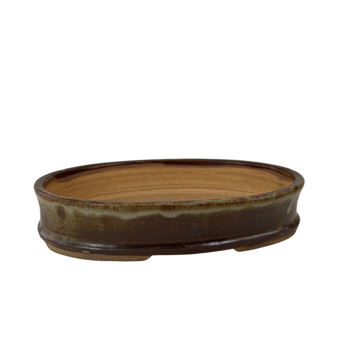 bonsai Sophie Wang - High Fired Oval