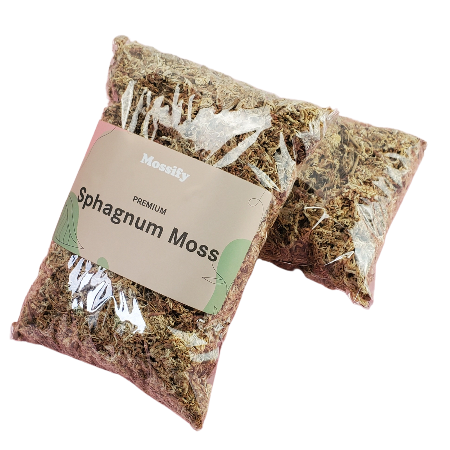 Sphagnum Moss | BonsaiStore.co