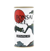 Misho Bonsai Growing Kit