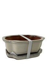Ceramic Pot with Humidity Tray - Cream Lotus