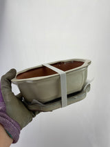 Ceramic Pot with Humidity Tray - Cream Lotus