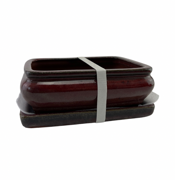 bonsai Ceramic Pot with Humidity Tray - Medium Flat Red Rectangle