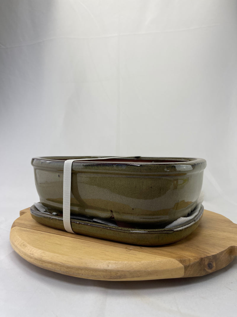 Ceramic Pot with Humidity Tray - Large Olive Green Rectangle